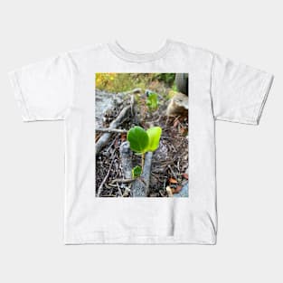 Baby Griselinia Kids T-Shirt